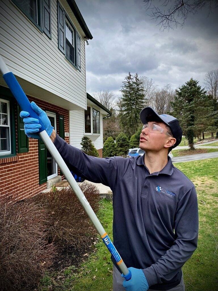 pest control companies near me