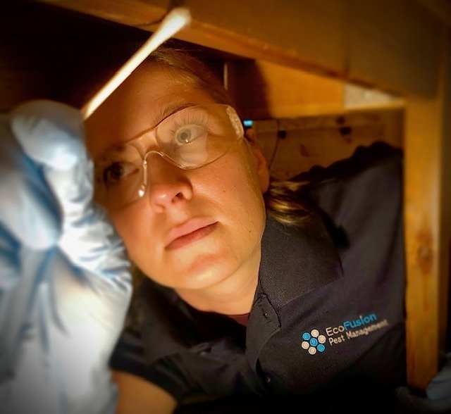 exterminator bloomfield nj
