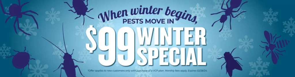 $99 deal Pest Control 3 Viking99Winter 1920x500 1 pest control Viking99Winter 1920x500 1 EcoFusion Pest Control pest control