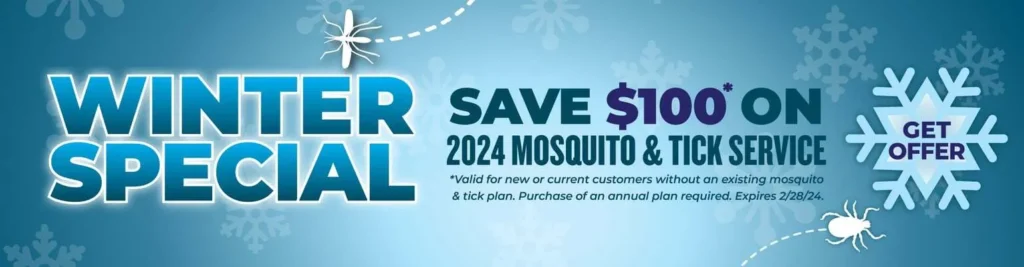 $99 deal Pest Control 2 WinterSpecial Homepage Banner 1920 500 2 pest control WinterSpecial Homepage Banner 1920 500 2 EcoFusion Pest Control pest control