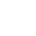 bed bug 1 EcoFusion Pest Control pest control