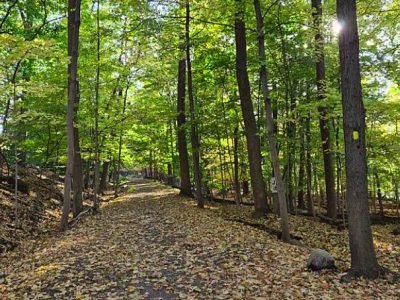 West Essex Park